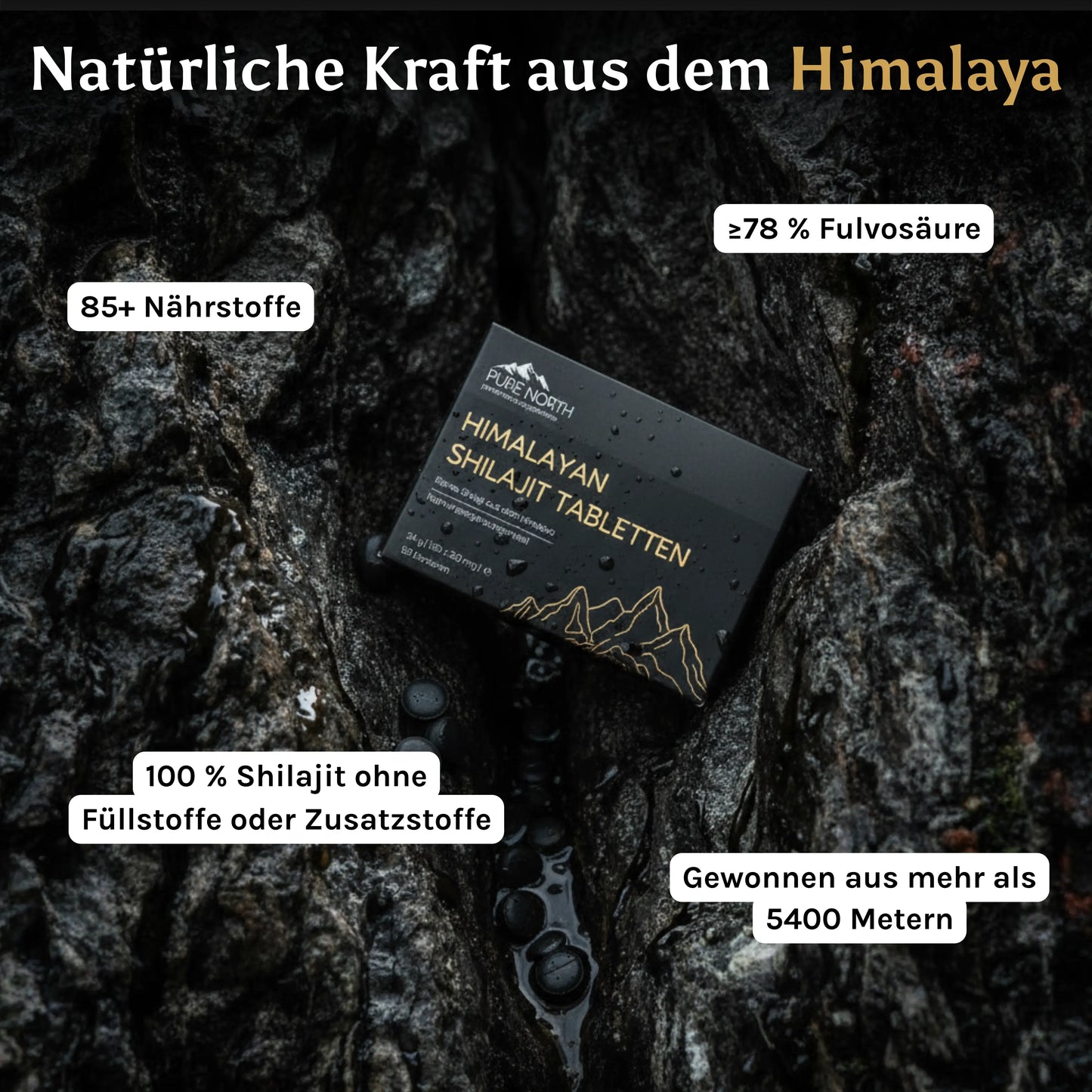 Himalayan Shilajit Tabletten