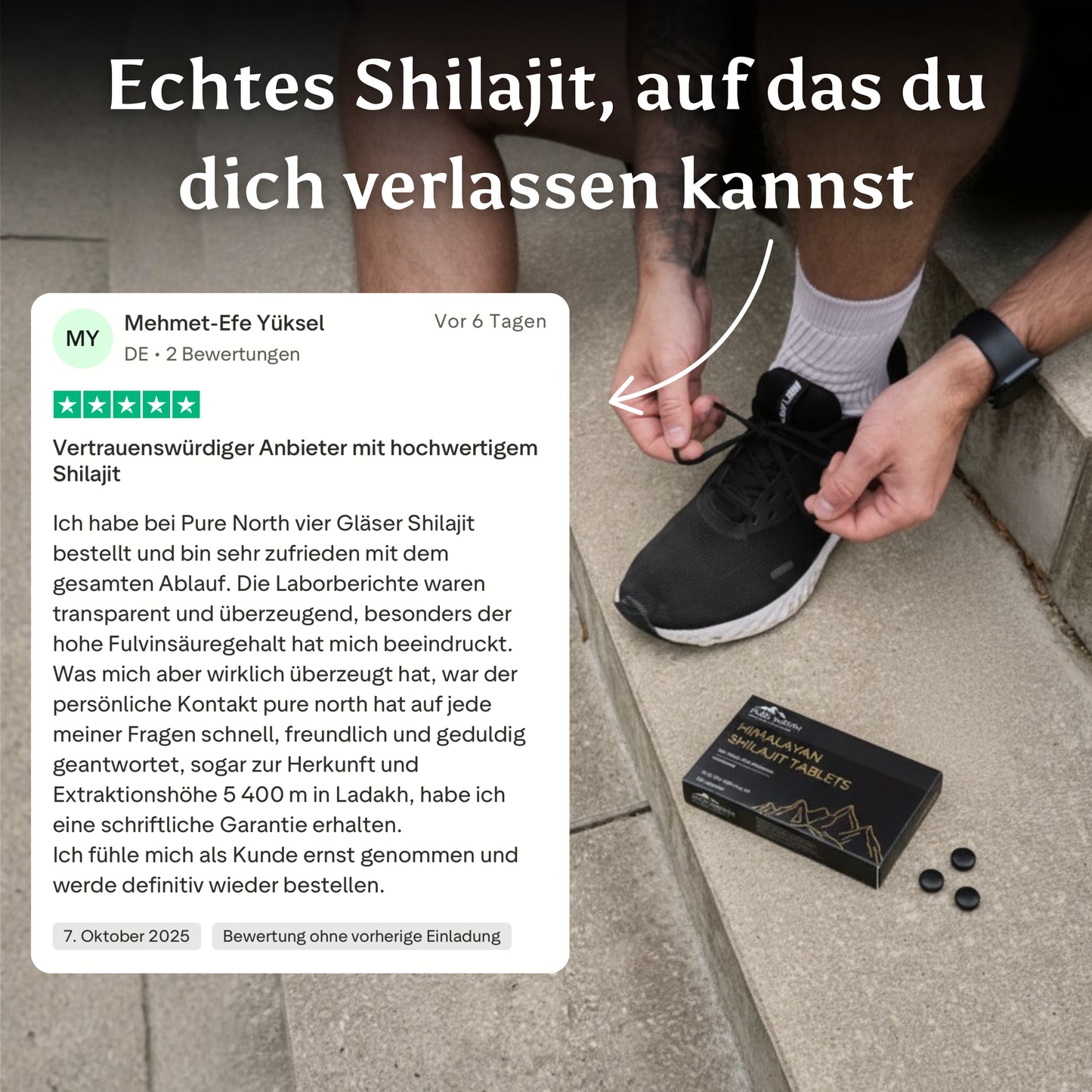 Himalayan Shilajit Tabletten