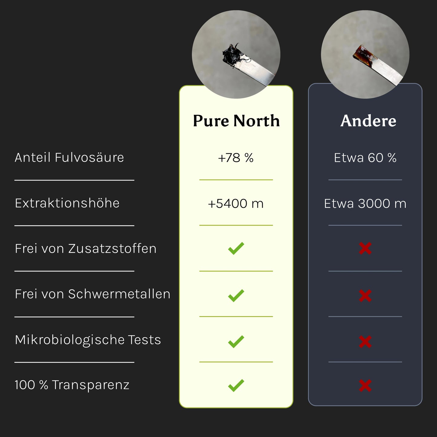 Himalayan Shilajit Tabletten
