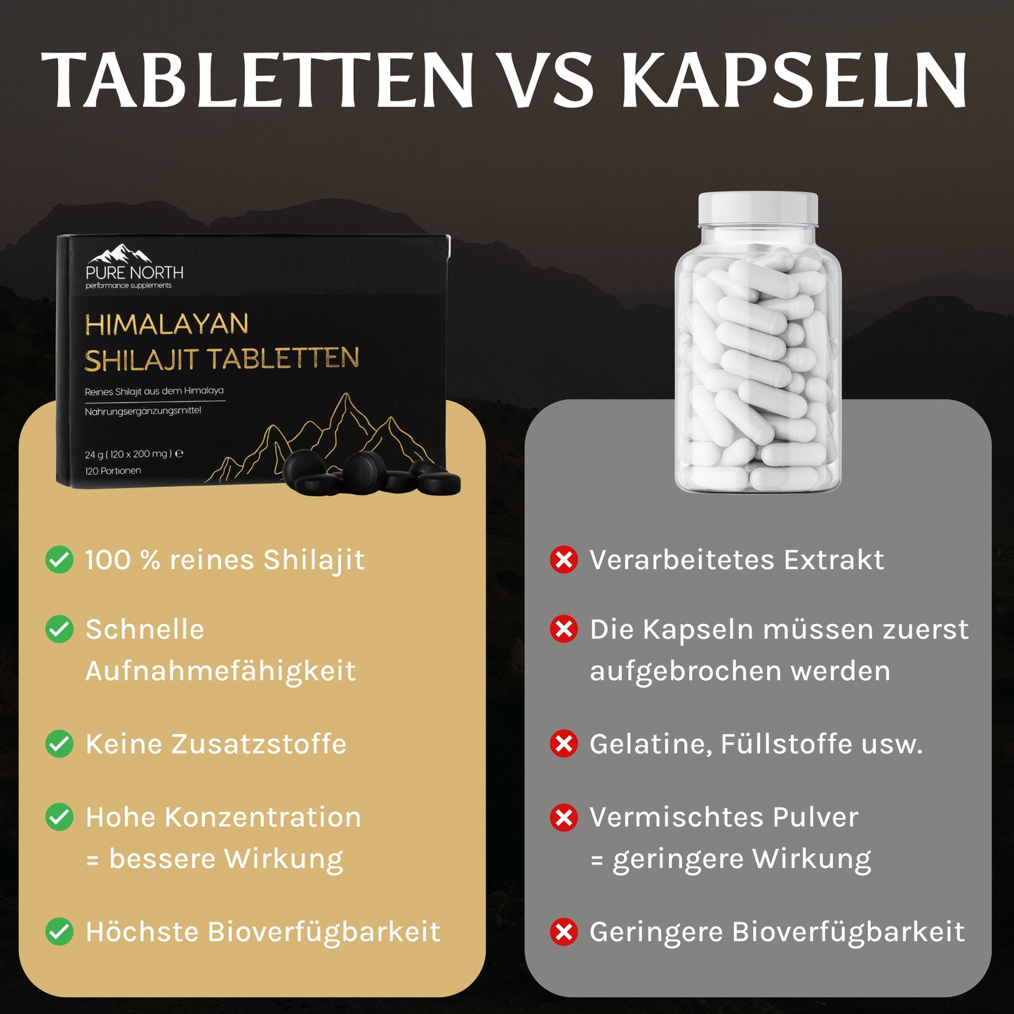 Himalayan Shilajit Tabletten
