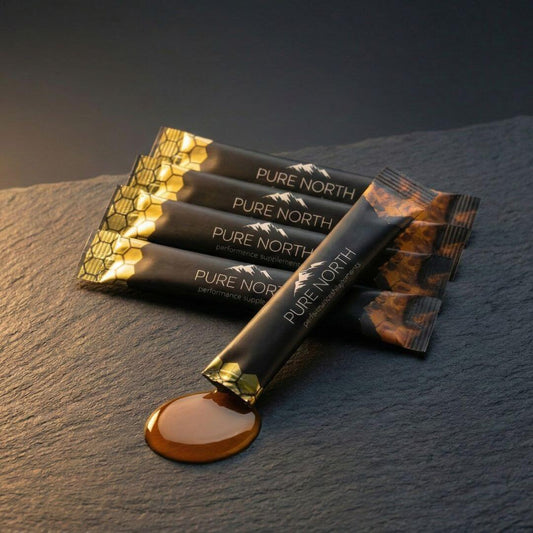 Pure North Shilajit Honey Stick Sample