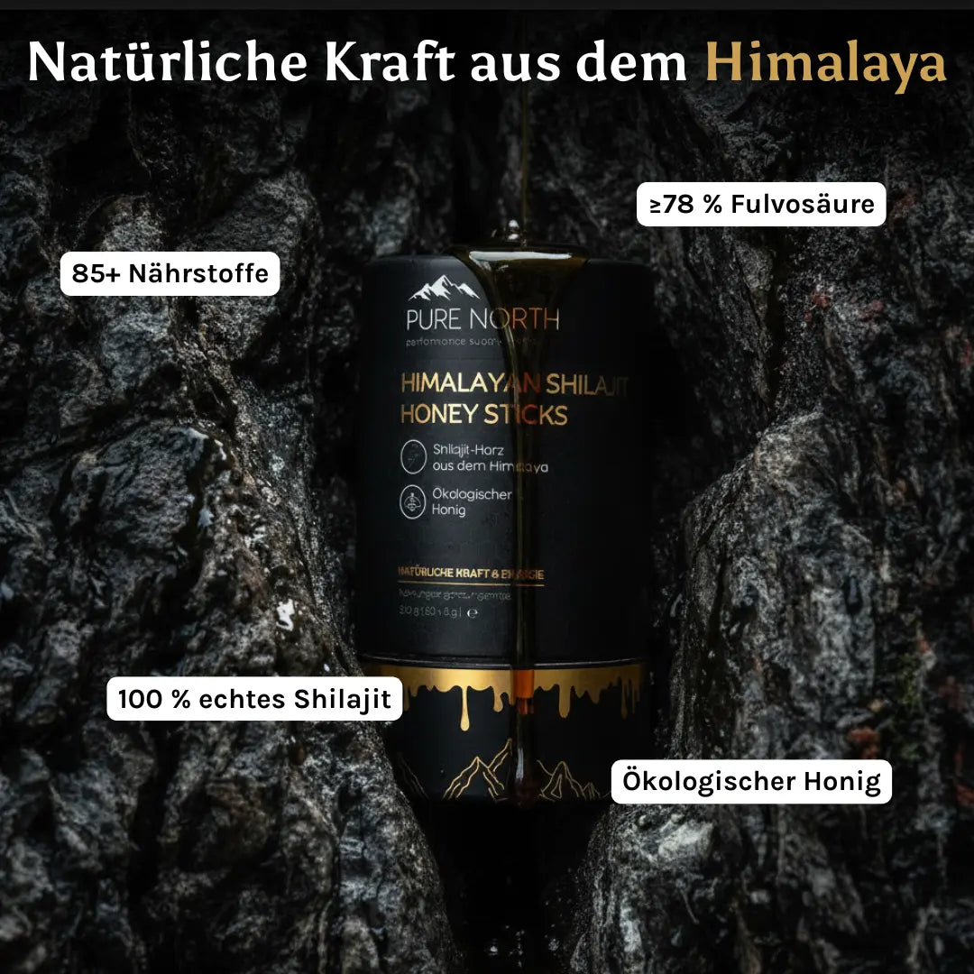 Pure North Himalayan Shilajit Honey Sticks