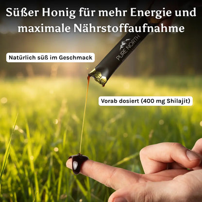 Pure North Himalayan Shilajit Honey Sticks