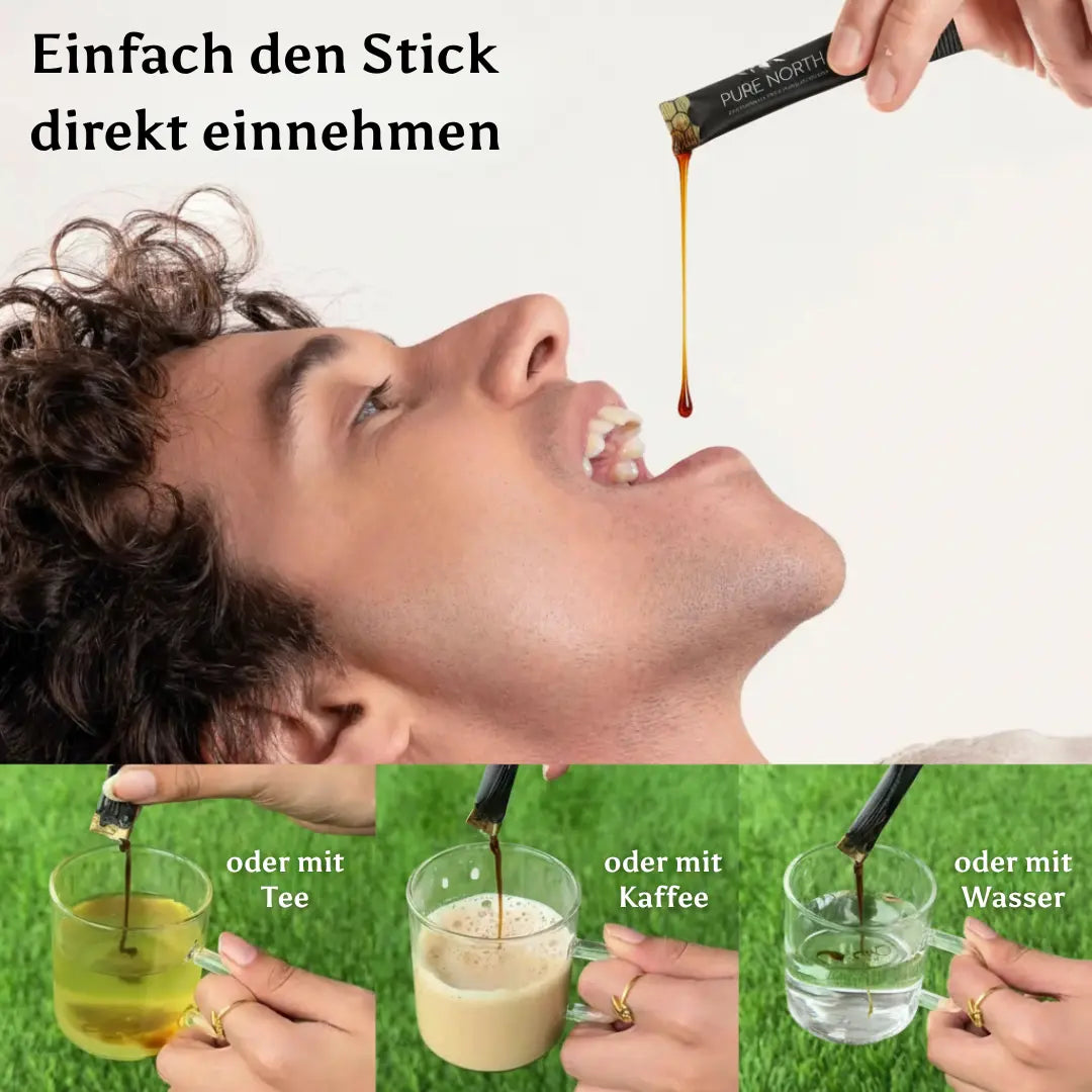 Pure North Himalayan Shilajit Honey Sticks