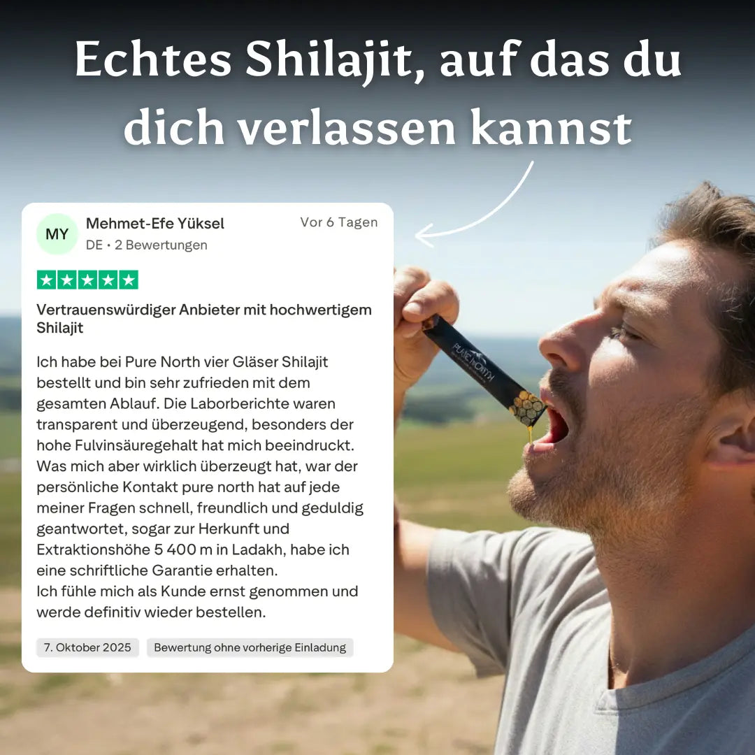 Pure North Himalayan Shilajit Honey Sticks