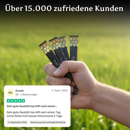 Pure North Himalayan Shilajit Honey Sticks