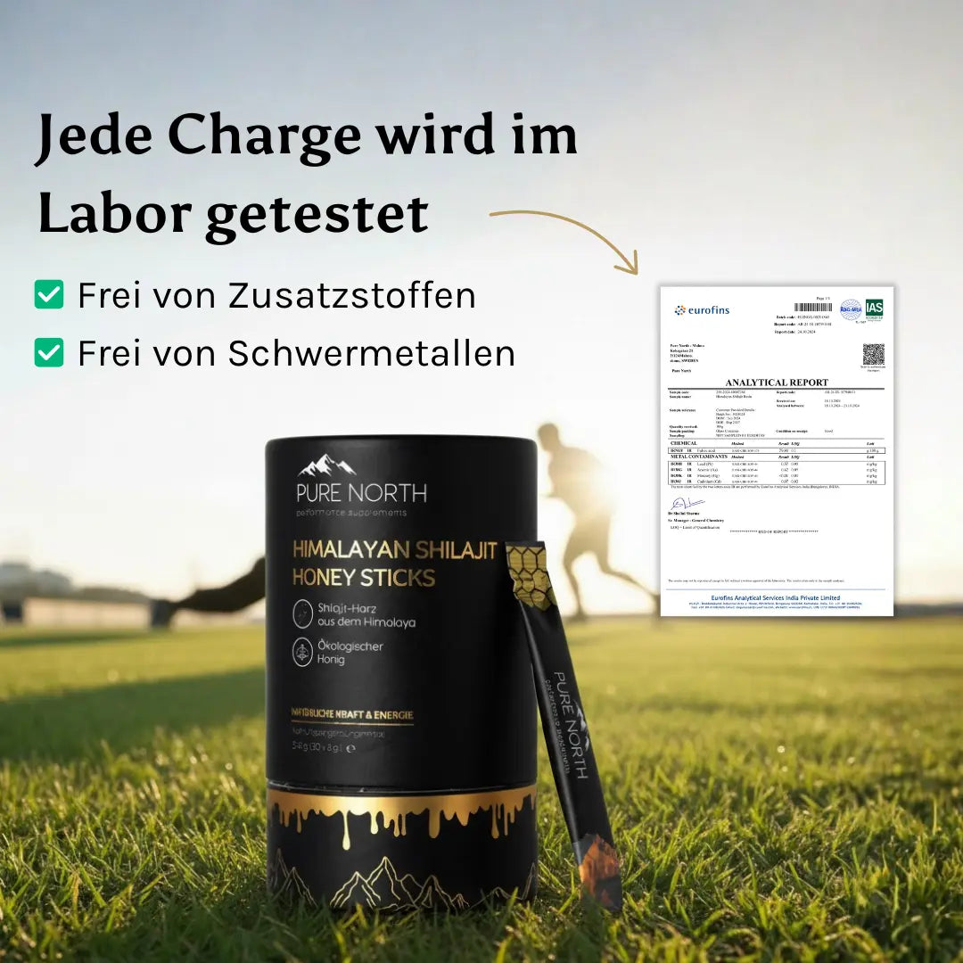 Pure North Himalayan Shilajit Honey Sticks